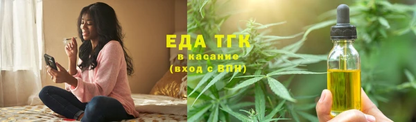 хмурый Каменногорск