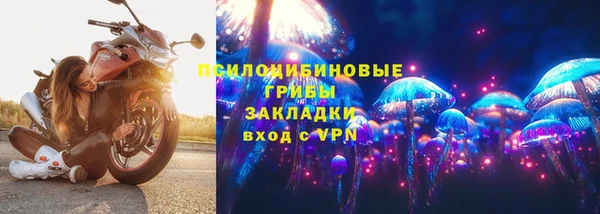 хмурый Каменногорск