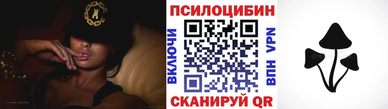 Купить где  Жуков  Псилоцибиновые грибы GOLDEN TEACHER 